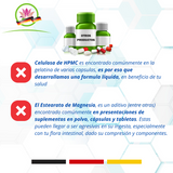 MEDIUM (AGOTADO EN MÉXICO)